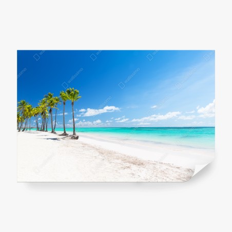 Wall mural palm trees on Punta Cana beach • Wallissimo®