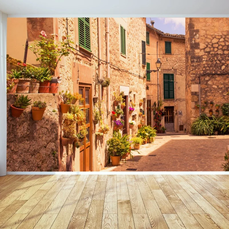 Wall mural sunlit mediterranean alley with potted plants