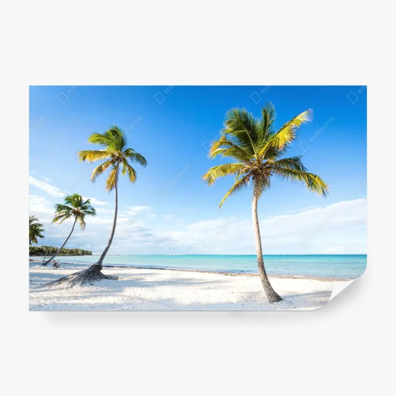 Wall mural tropical palm beach getaway
