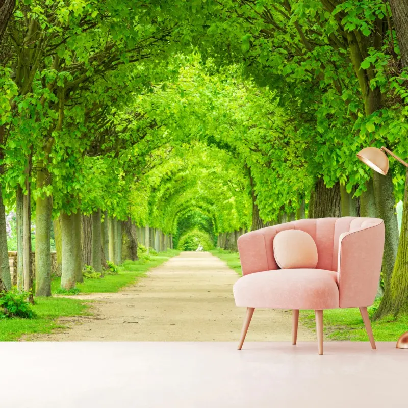 Wall mural green tree tunnel walkway