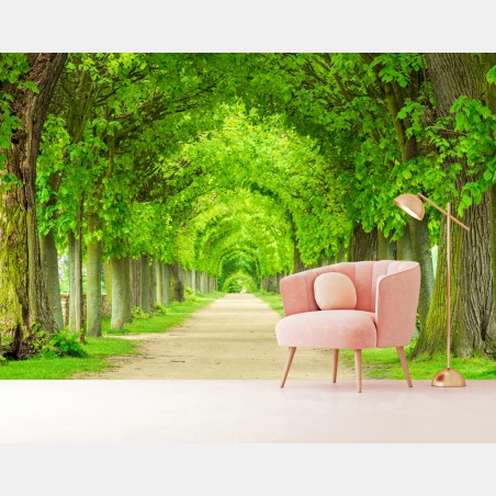 Wall mural green tree tunnel walkway • Wallissimo®