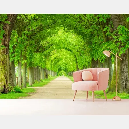Wall mural green tree tunnel walkway • Wallissimo®