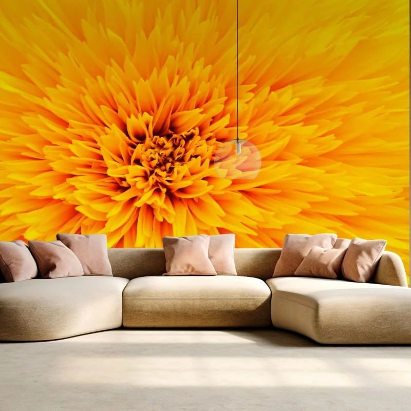 Wall mural radiant sunflower close-up