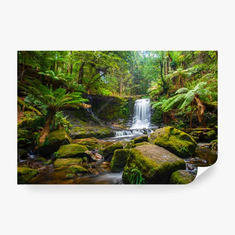 Wall mural lush forest waterfall retreat