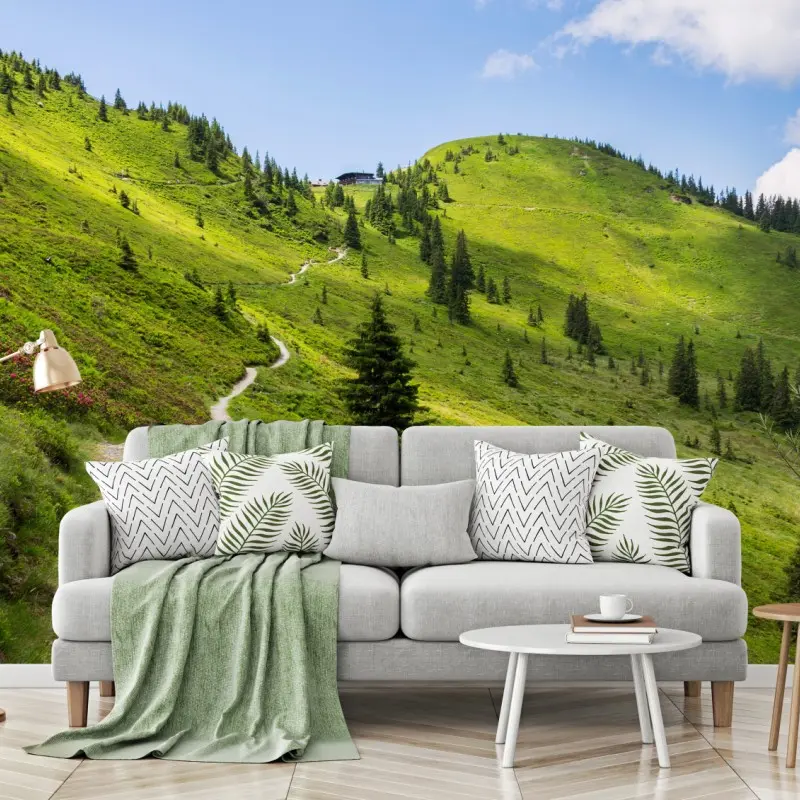 Wall mural sunlit mountain trail through green meadow
