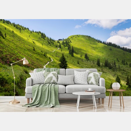 Wall mural sunlit mountain trail through green meadow • Wallissimo®