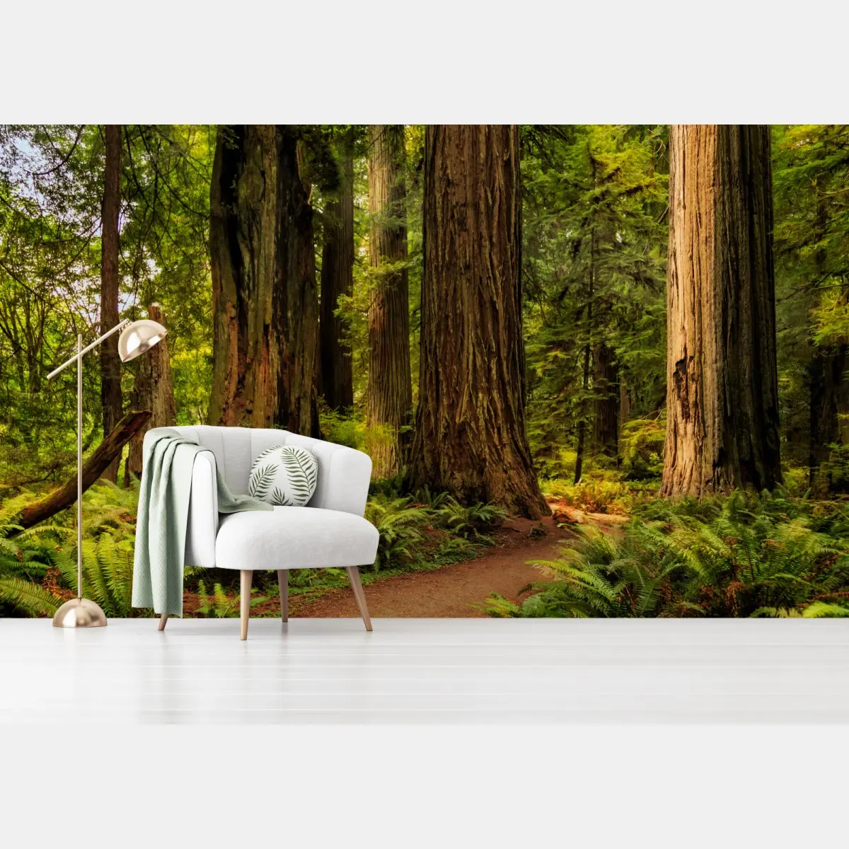 Wall mural California redwoods forest trail • Wallissimo®