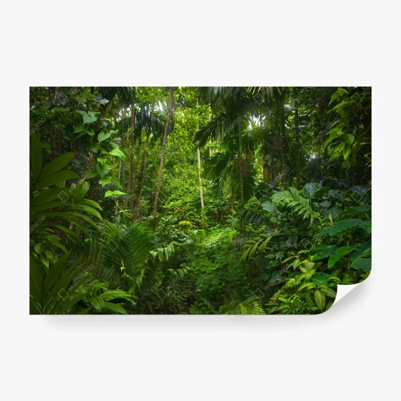 Wall mural lush tropical jungle canopy