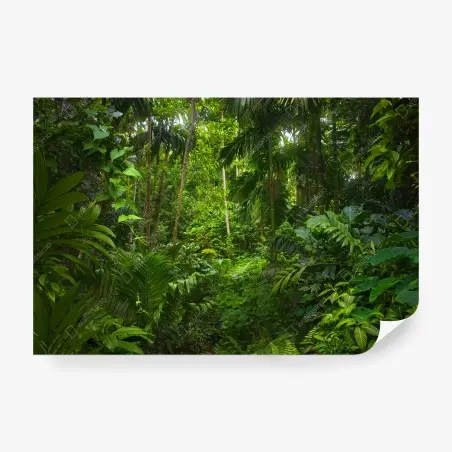 Wall mural lush tropical jungle canopy • Wallissimo®