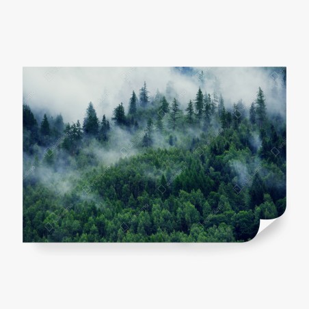 Wall mural misty green forest landscape • Wallissimo®