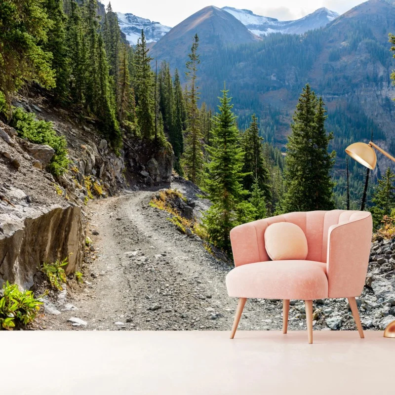 Wall mural mountain trail through alpine forest