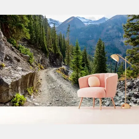 Wall mural mountain trail through alpine forest • Wallissimo®