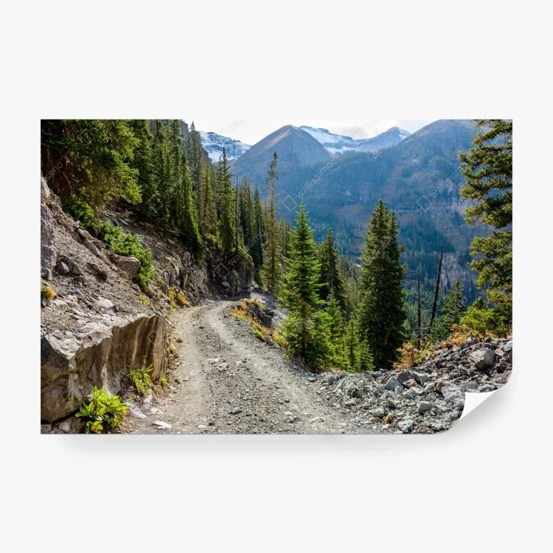 Wall mural mountain trail through alpine forest