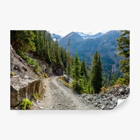 Wall mural mountain trail through alpine forest • Wallissimo®