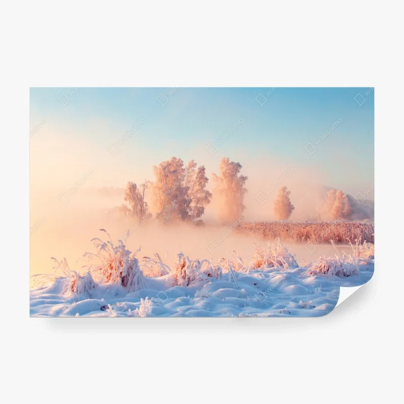Wall mural winter sunrise over frosty meadow