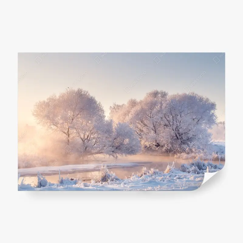 Wall mural frosted trees at sunrise