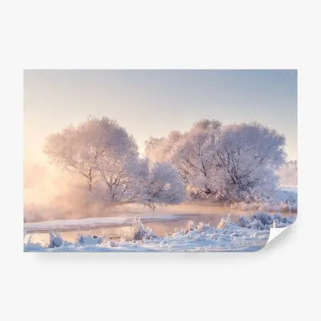 Wall mural frosted trees at sunrise • Wallissimo®
