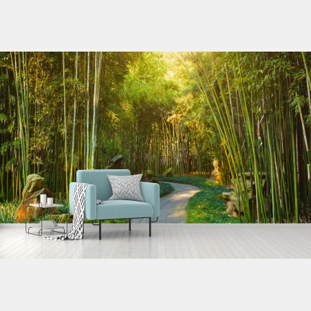 Wall mural serene bamboo forest pathway • Wallissimo®