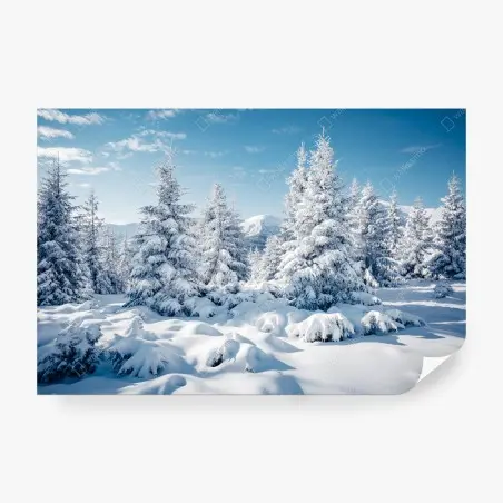 Wall mural winter calm in the Carpathian spruces • Wallissimo®