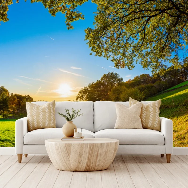 Wall mural sunlit meadow country road at sunset