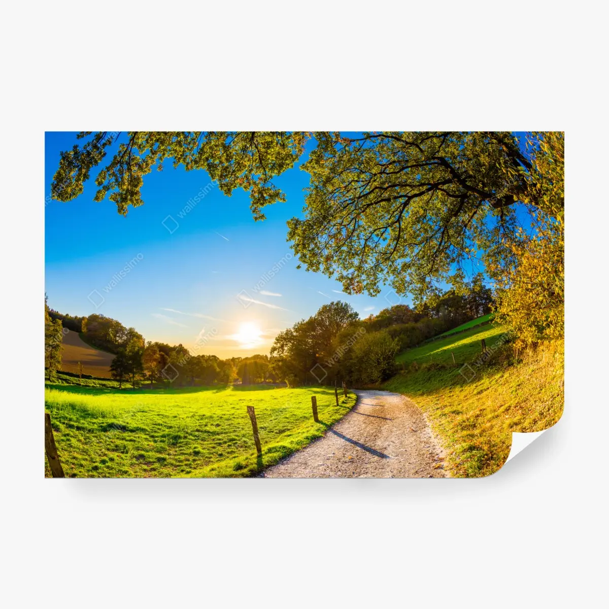 Wall mural sunlit meadow country road at sunset ⁕ Wallissimo® Wall mural sunlit meadow country road at sunset ⁕ Wallissimo®