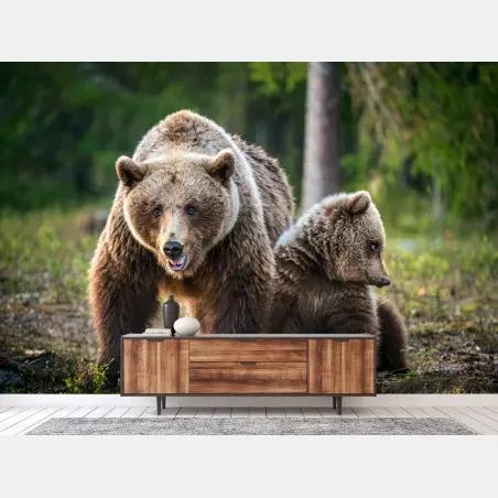 Wall mural brown bear mother with cub in forest • Wallissimo®