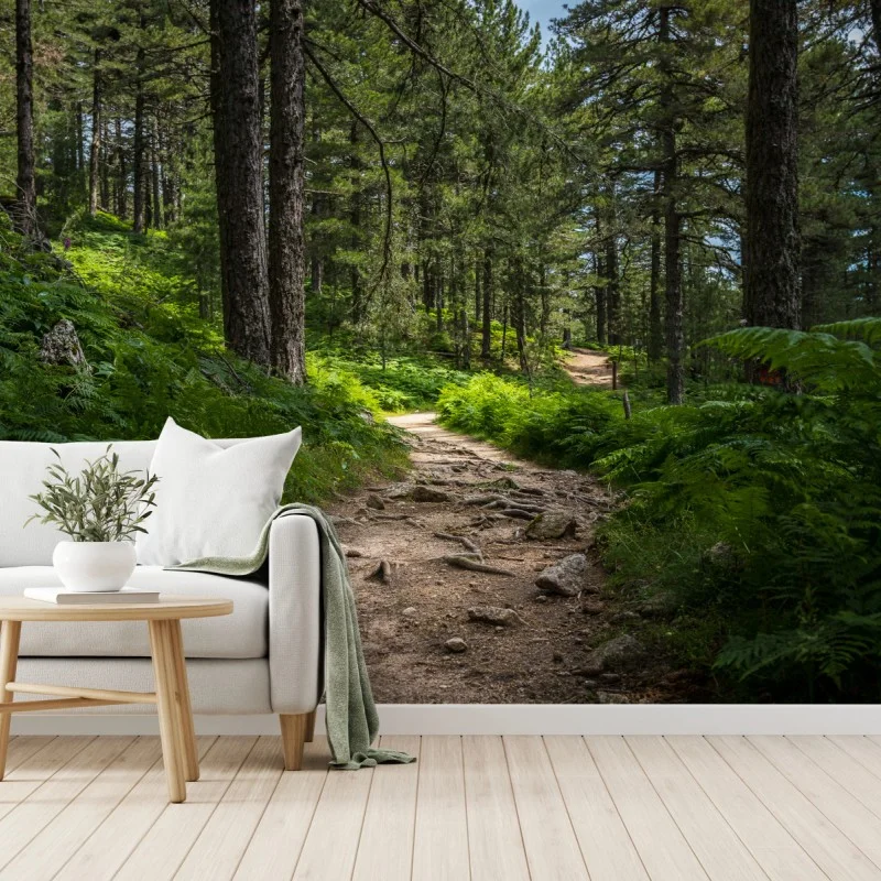Wall mural serene forest path through lush greenery