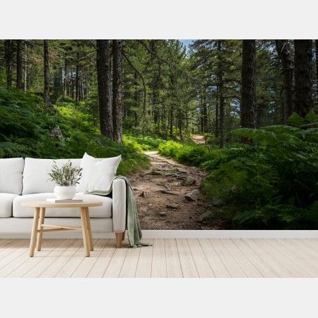 Wall mural serene forest path through lush greenery • Wallissimo®