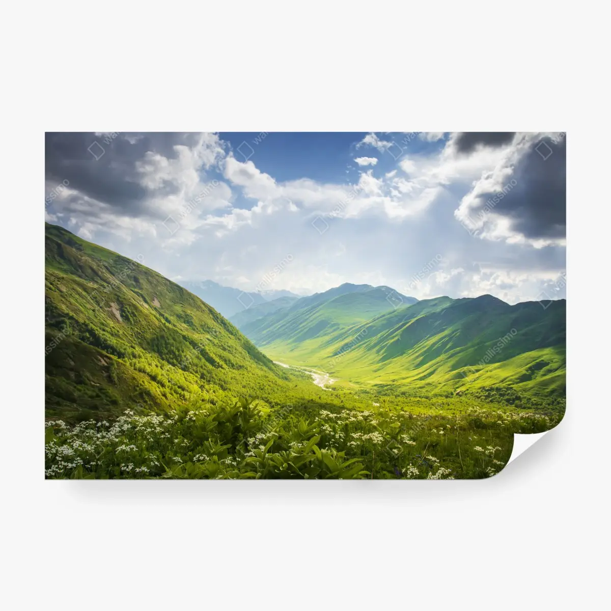 Wall mural lush green valley in Svaneti • Wallissimo®