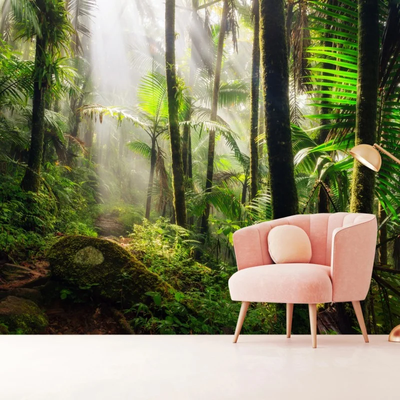 Wall mural tropical rainforest with sunbeams