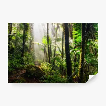 Wall mural tropical rainforest with sunbeams • Wallissimo®