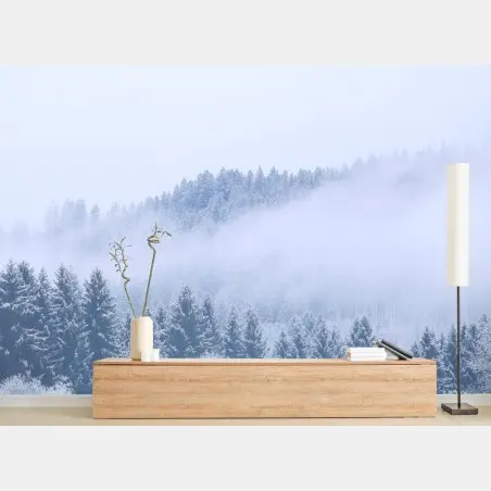 Wall mural winter mist over coniferous forest • Wallissimo®