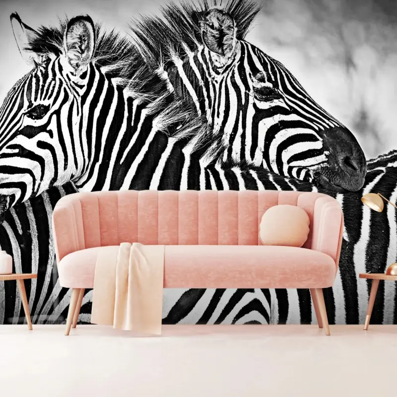 Wall mural zebra embrace in monochrome