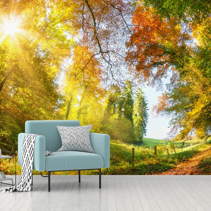 Wall mural golden autumn forest path