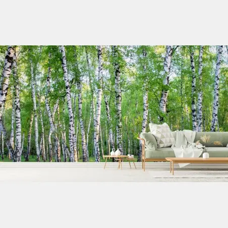 Wall mural serene birch grove in summer • Wallissimo®