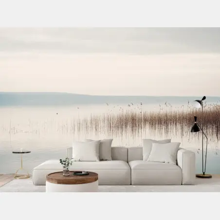 Wall mural serene lakeside reeds at dawn • Wallissimo®