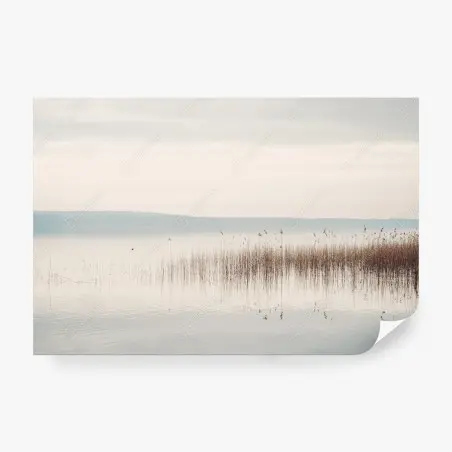 Wall mural serene lakeside reeds at dawn • Wallissimo®