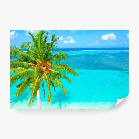 Wall mural tropical turquoise beach with palm tree • Wallissimo®