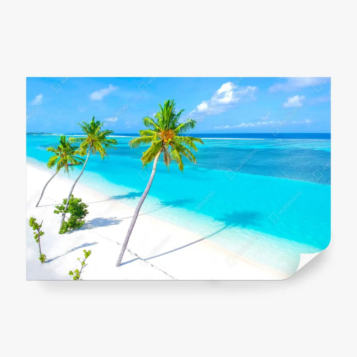 Wall mural tropical turquoise beach with palm trees • Wallissimo®