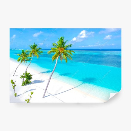 Wall mural tropical turquoise beach with palm trees • Wallissimo®