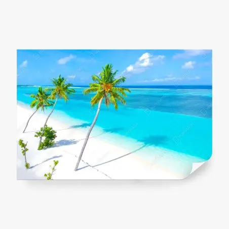 Wall mural tropical turquoise beach with palm trees • Wallissimo®