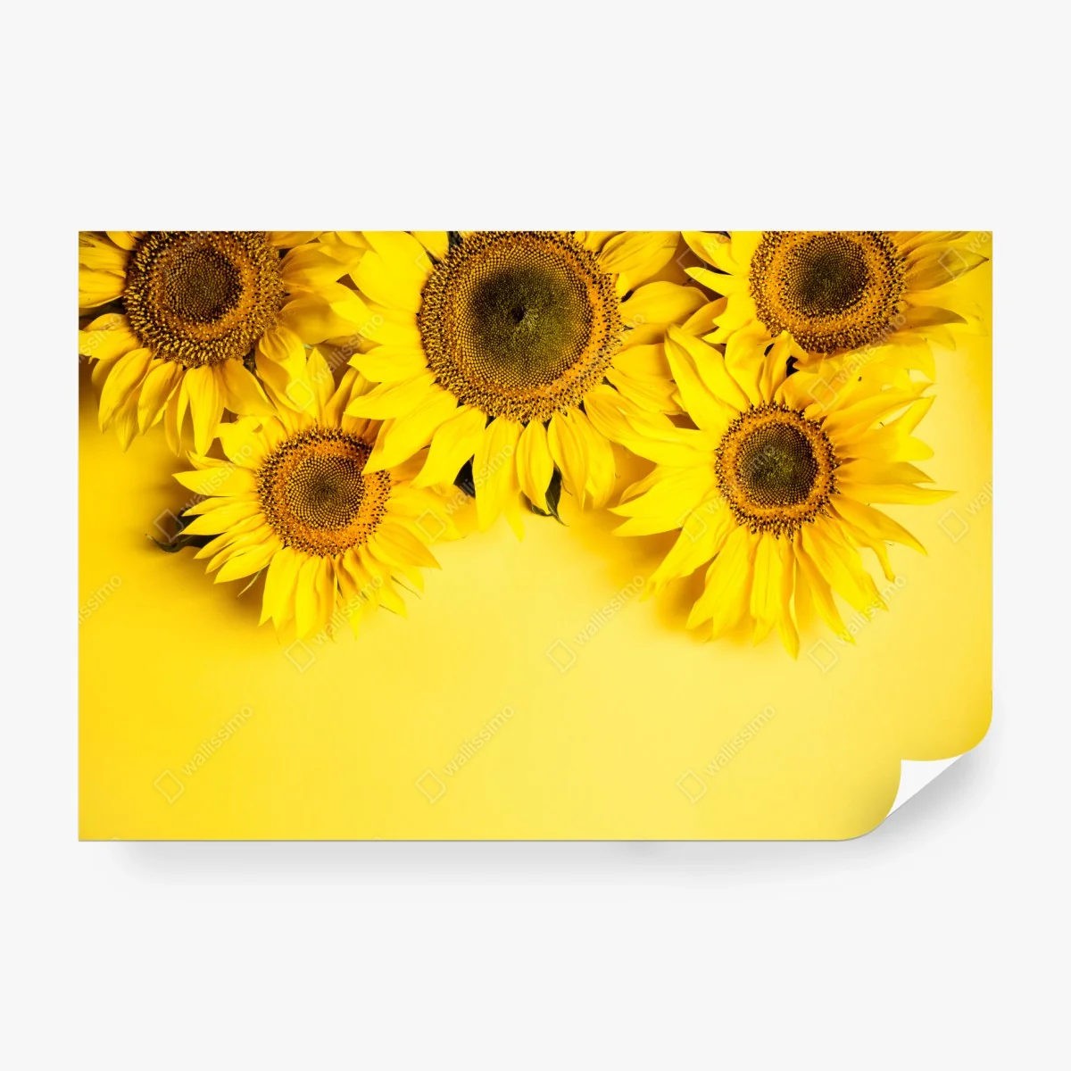 Wall mural bright sunflower bouquet on yellow background • Wallissimo®