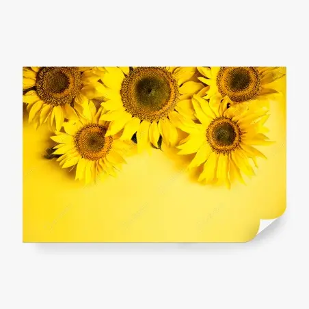Wall mural bright sunflower bouquet on yellow background • Wallissimo®