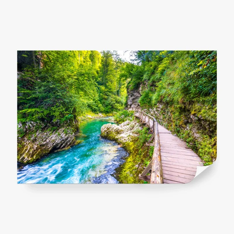 Wall mural turquoise river and wooden pathway in lush forest