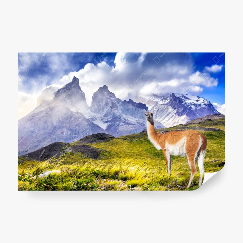 Wall mural Torres del Paine Patagonia landscape with guanaco