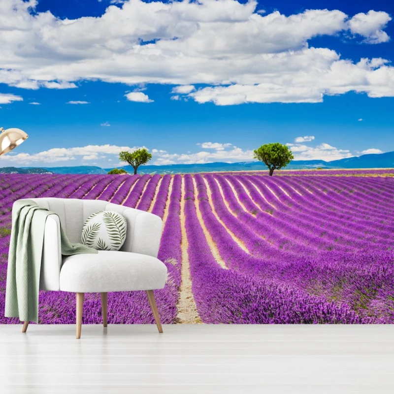 Wall mural lavender fields in Provence