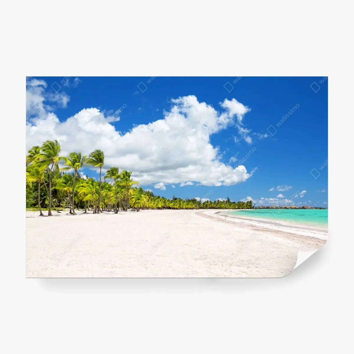 Wall mural tropical beach paradise in Punta Cana • Wallissimo®