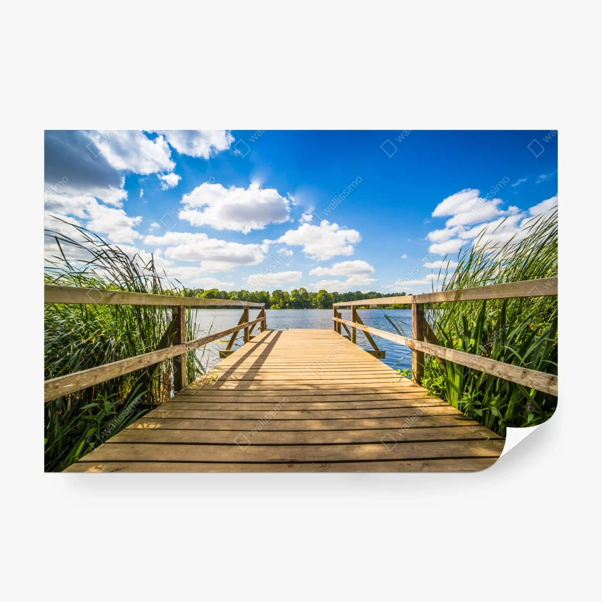 Wall mural sunlit lakeside dock at midday • Wallissimo®