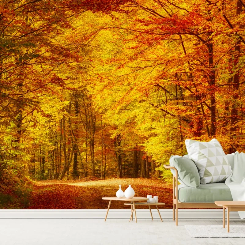 Wall mural golden autumn forest pathway