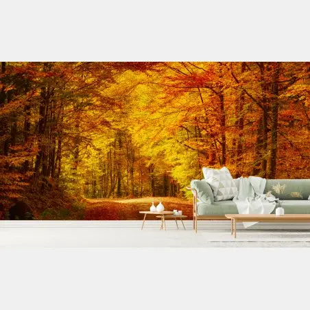 Wall mural golden autumn forest pathway • Wallissimo®